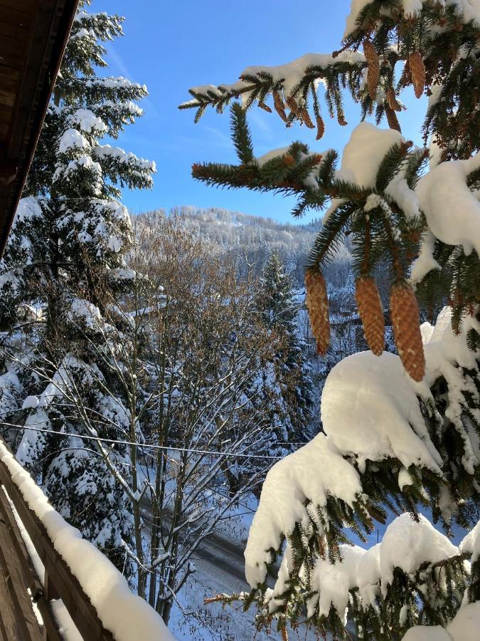 Niezapominajka Bed & Breakfast Szczyrk Eksteriør bilde
