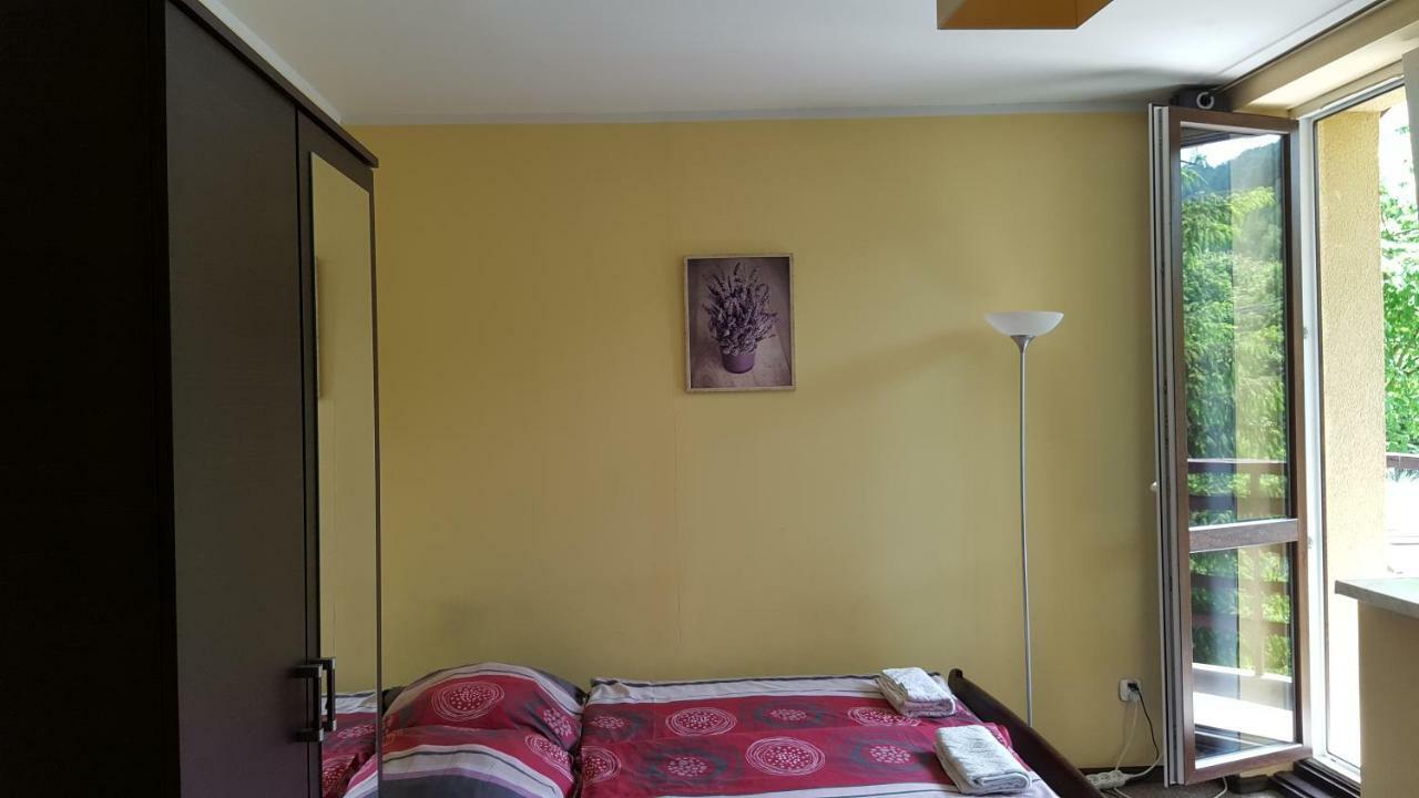 Niezapominajka Bed & Breakfast Szczyrk Eksteriør bilde