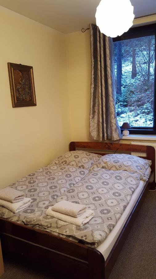 Niezapominajka Bed & Breakfast Szczyrk Eksteriør bilde