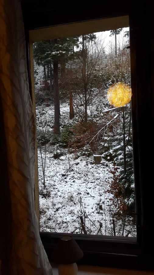 Niezapominajka Bed & Breakfast Szczyrk Eksteriør bilde